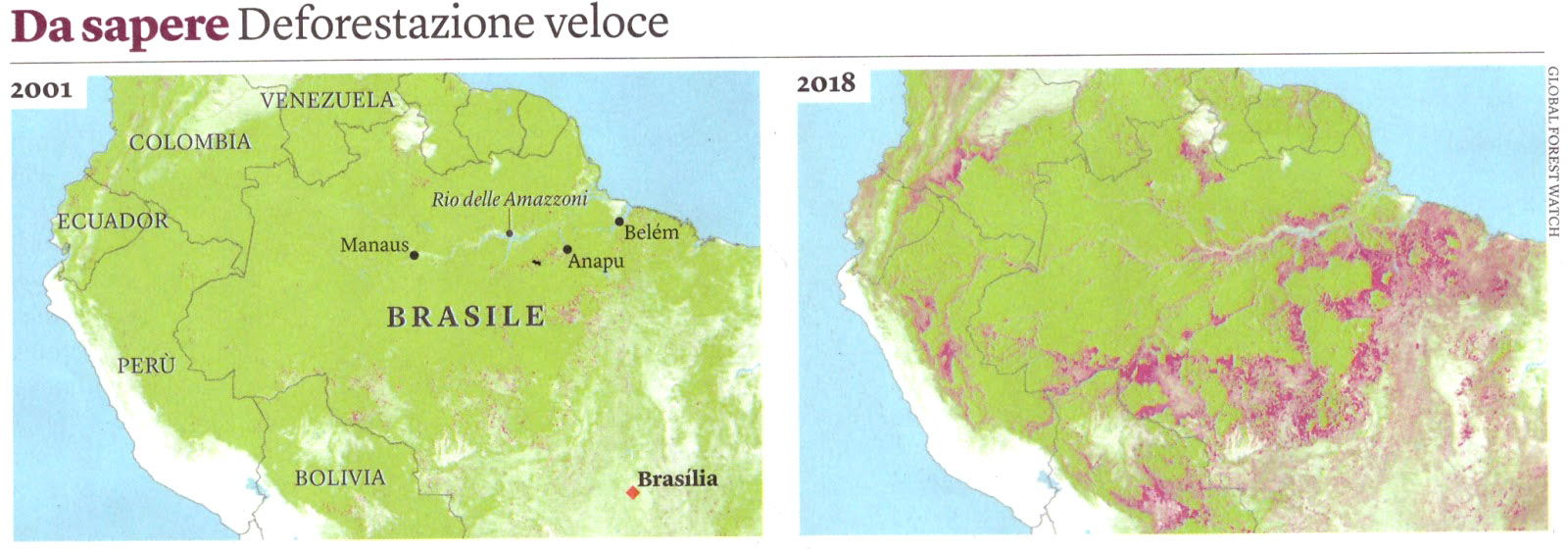 deforestazione foresta amazzonica 